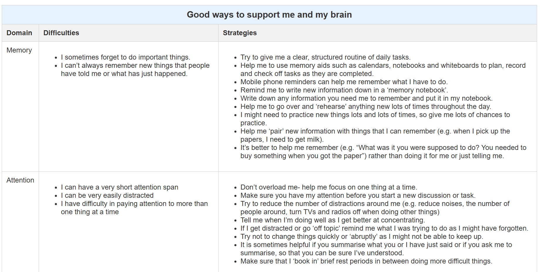 Brain Support Strategies