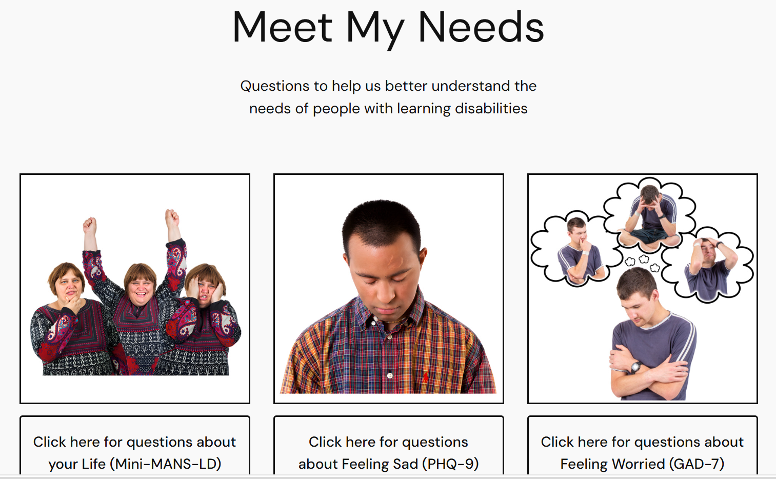 Meet My Needs Website